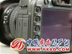 �۸������ȶ�����5DII�����Ͱ��Ϳ�